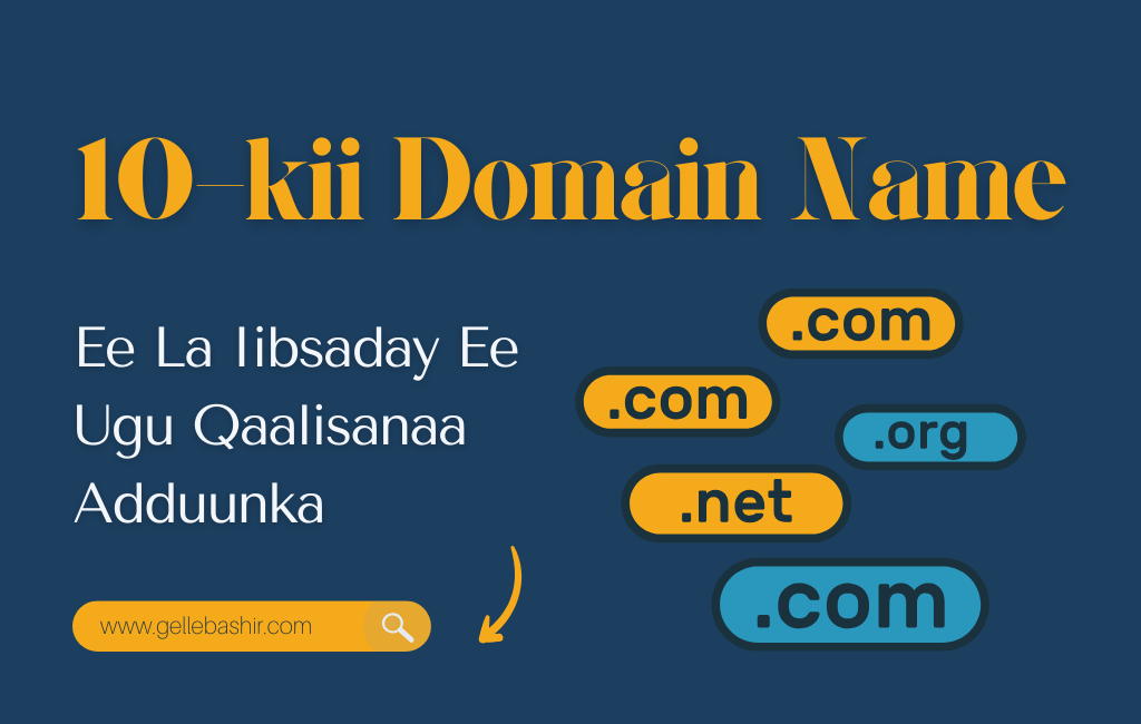 10-kii Domain Name Ee La Iibsaday Ee Ugu Qaalisanaa Adduunka
